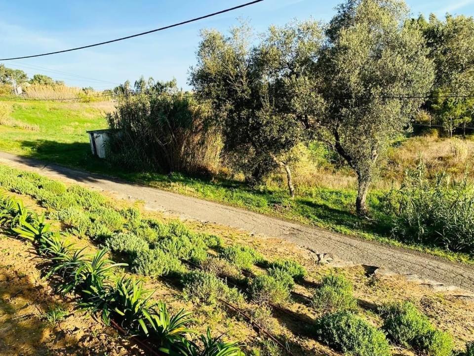 Cecile'S Villa Casal do Pardo Εξωτερικό φωτογραφία